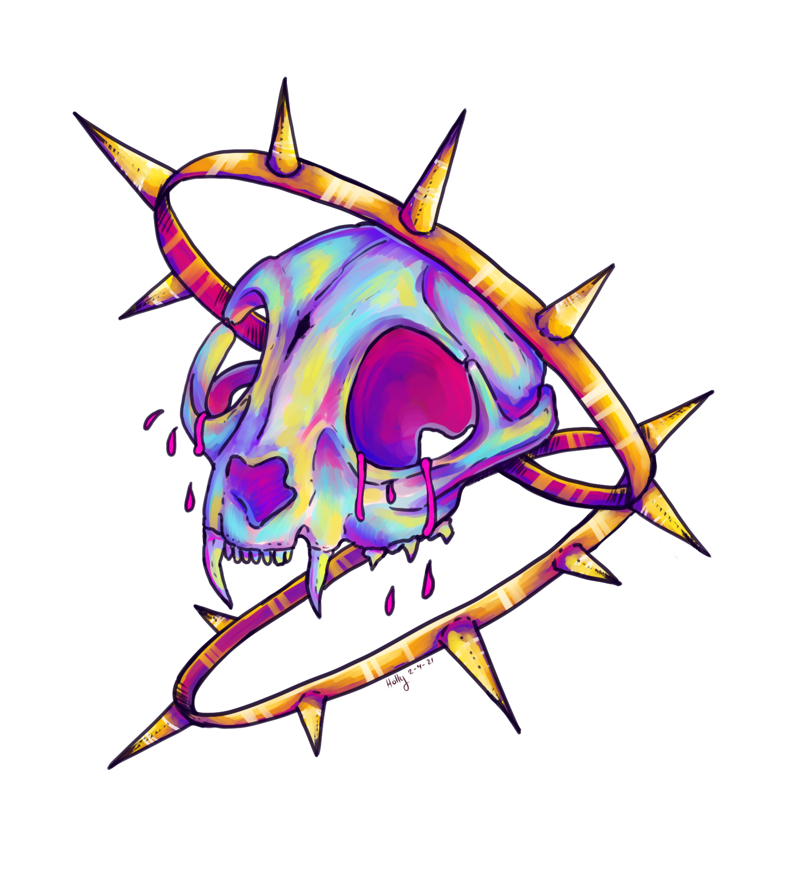 Cat skull
