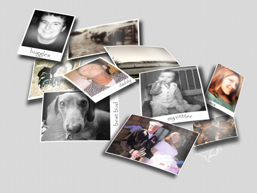 Random Collage For Memory Memory Collage by Silver-Willow04 on DeviantArt