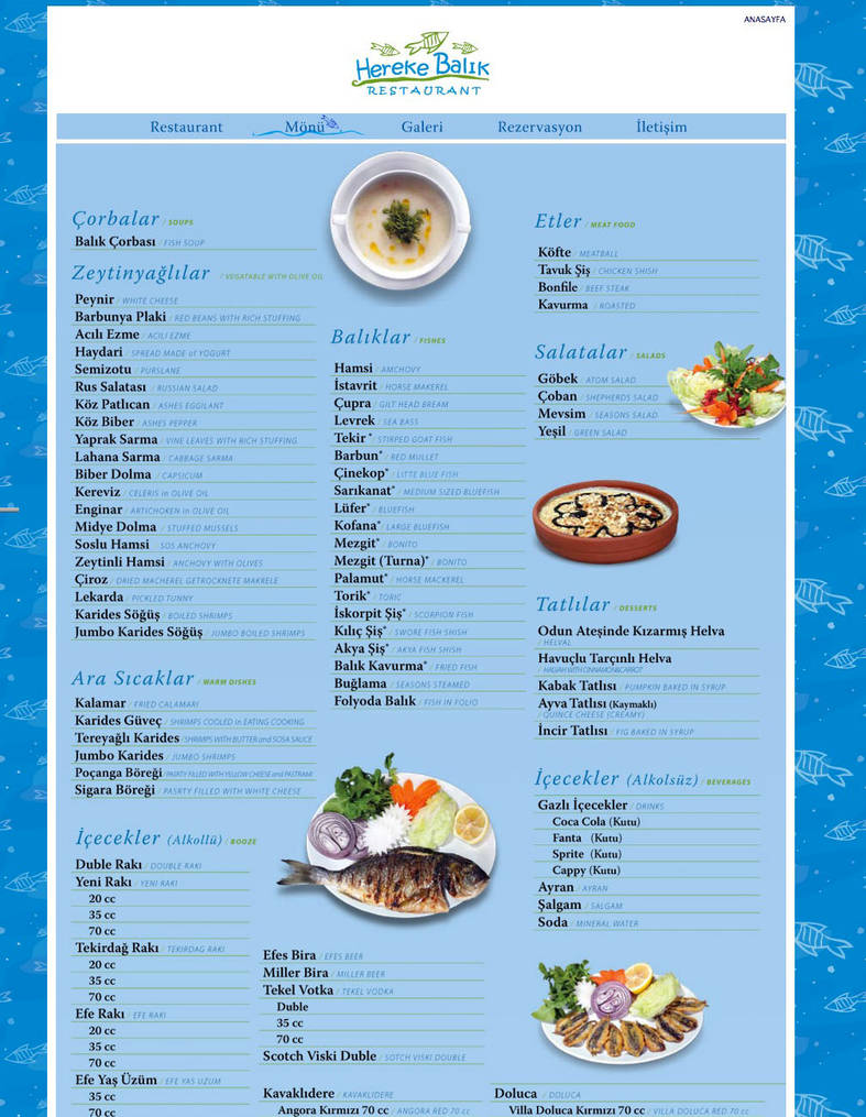 hereke balik web by hakanterzi on deviantart