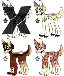 Pup Adopts