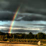 Rainbow2