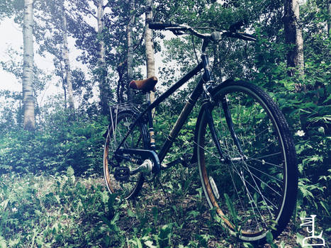 Bike In The Woods