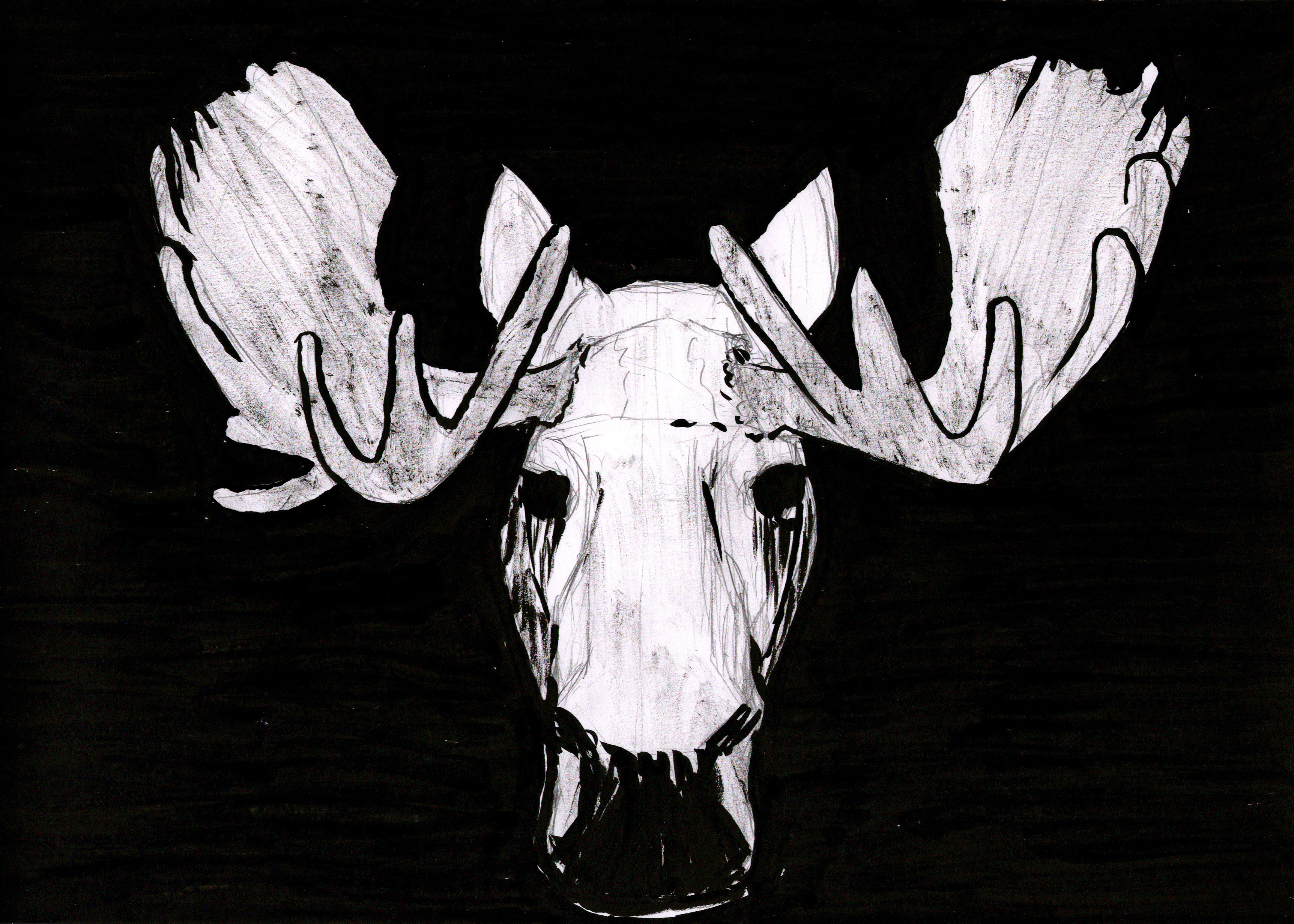 Elk