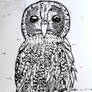 [Indian Ink art] Owl