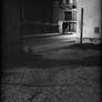 scene XXXVI (street)