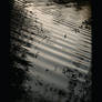 Weaving Shadows