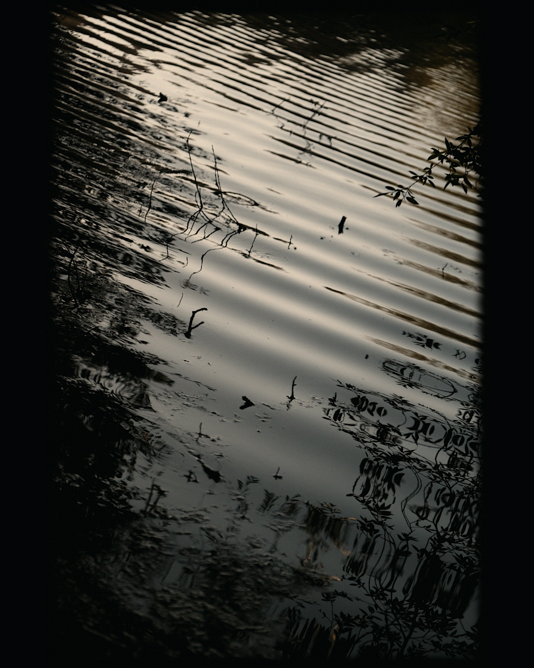 Weaving Shadows
