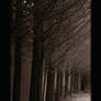 Through The Empty Halls