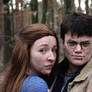 Harry and Ginny - IT ALL ENDS 7.2