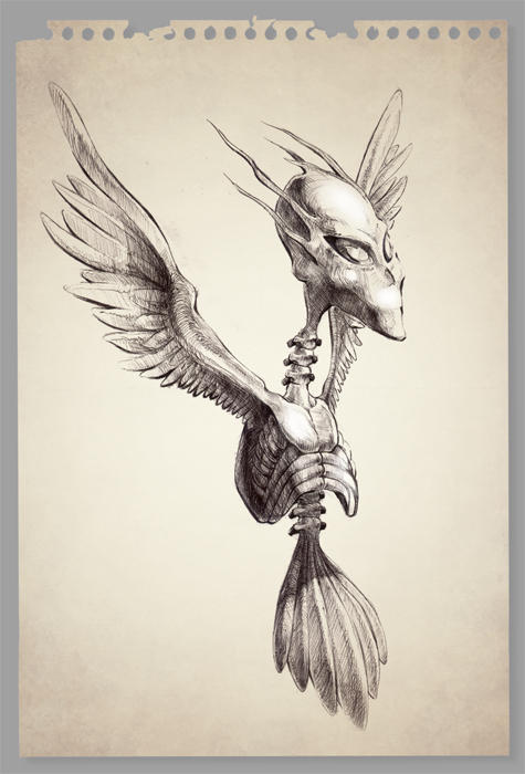 alien bird by Cranium82 on DeviantArt