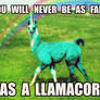 LLAMACORN - Celebrating 50 llamas! Thanks guys!