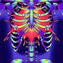 Day 8: X-Ray