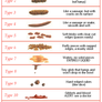 Revised Bristol Stool Chart