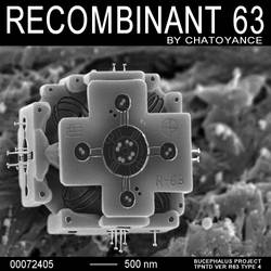 Recombinant 63 cover art