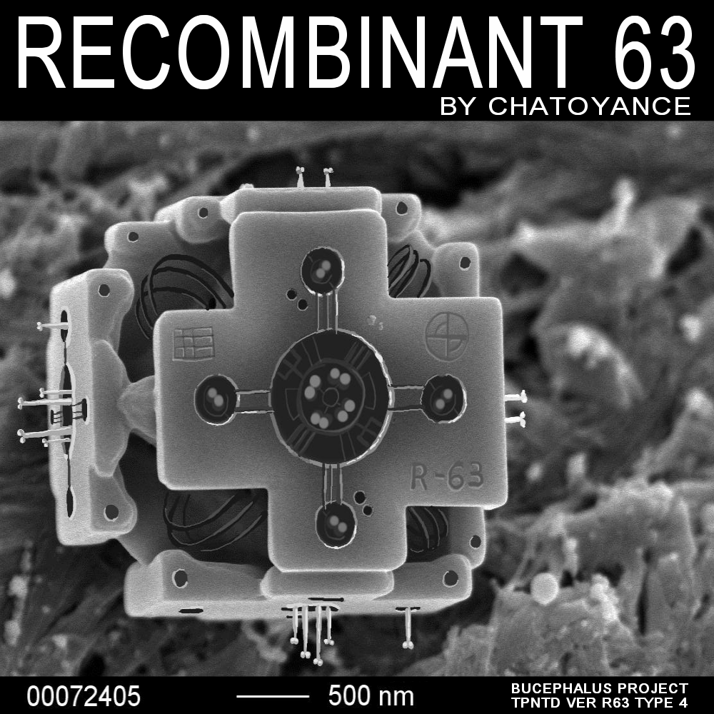 Recombinant 63 cover art