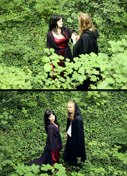 Morgana and Morgause - forest