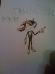 Shadow the Hedgehog Hand-Drawn 1