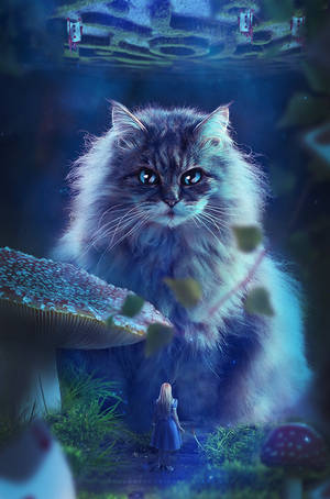 this is wonderland by yellowicous this is wonderland by yellowicous