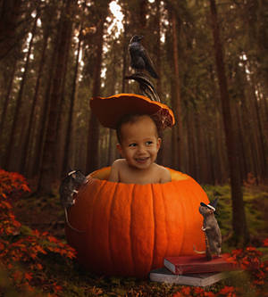 pumpkin boy