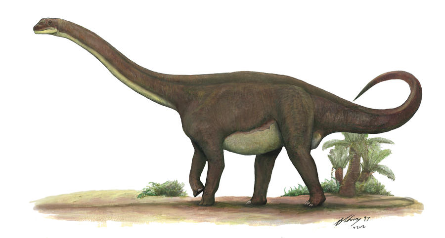 Rhoetosaurus brownei