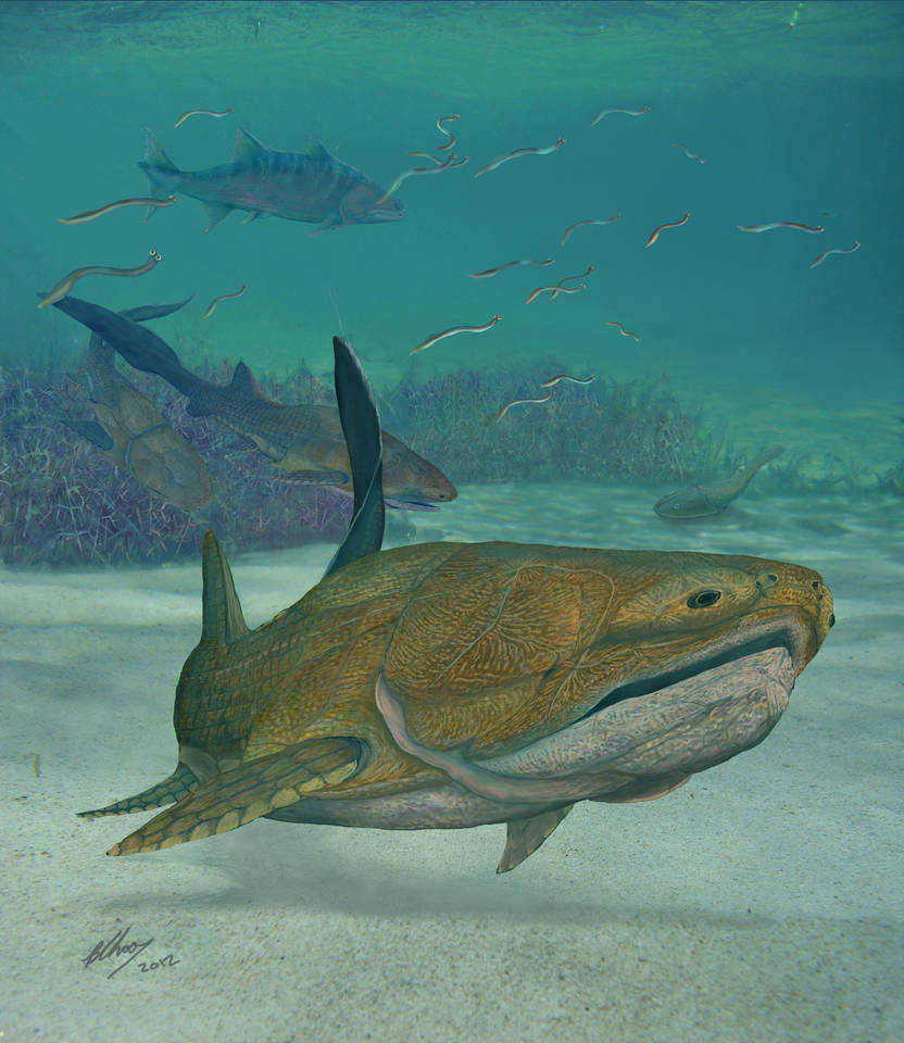 400 млн лет назад какая. Панцирная рыба эпохи динозавров. Древние рыбы. Вымершие панцирные рыбы. Самая большая Доисторическая рыба.