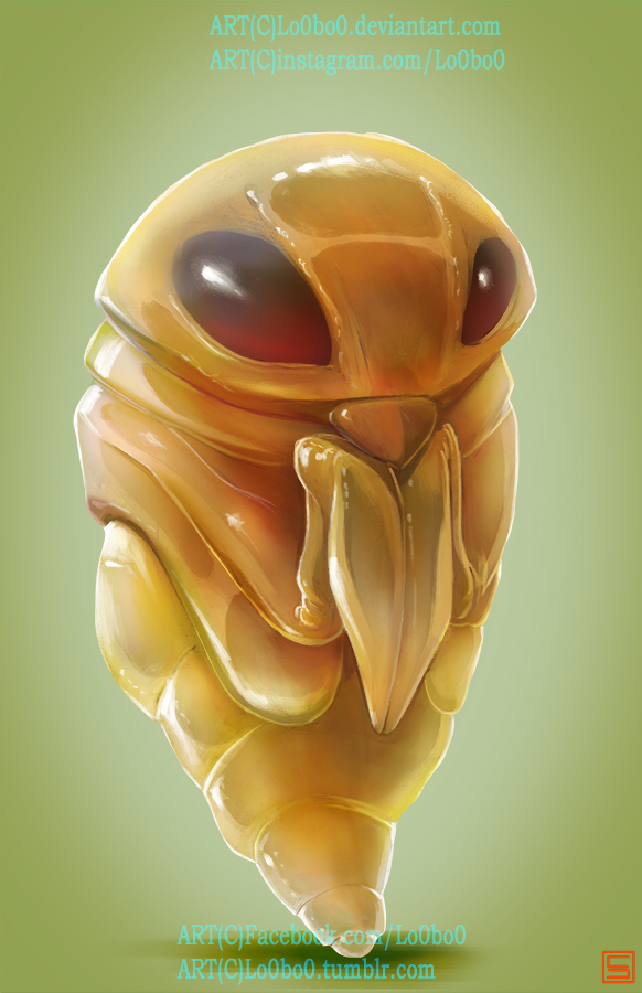 pokemon project 014 Kakuna byLo0bo0 by Lo0bo0