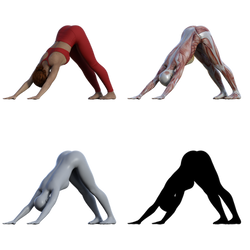 Downward Facing Dog 001-007