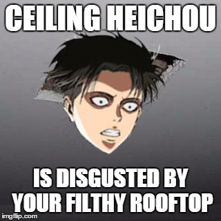 Ceiling Neko Heichou