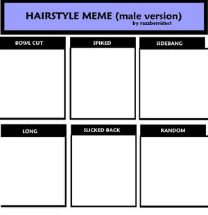 Hairstyle Meme - Male Version