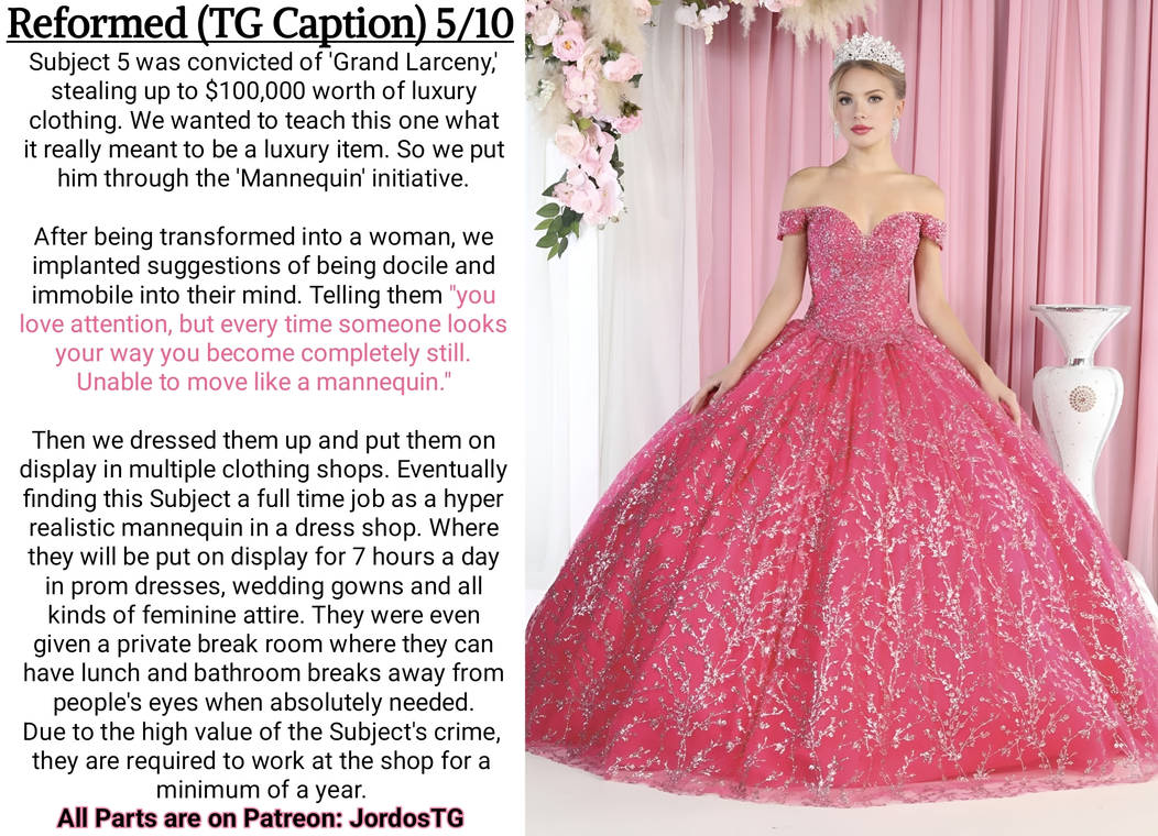 Reformed (TG Caption) 5/10