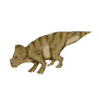 Montanoceratops