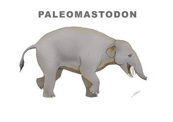 Paleomastodon