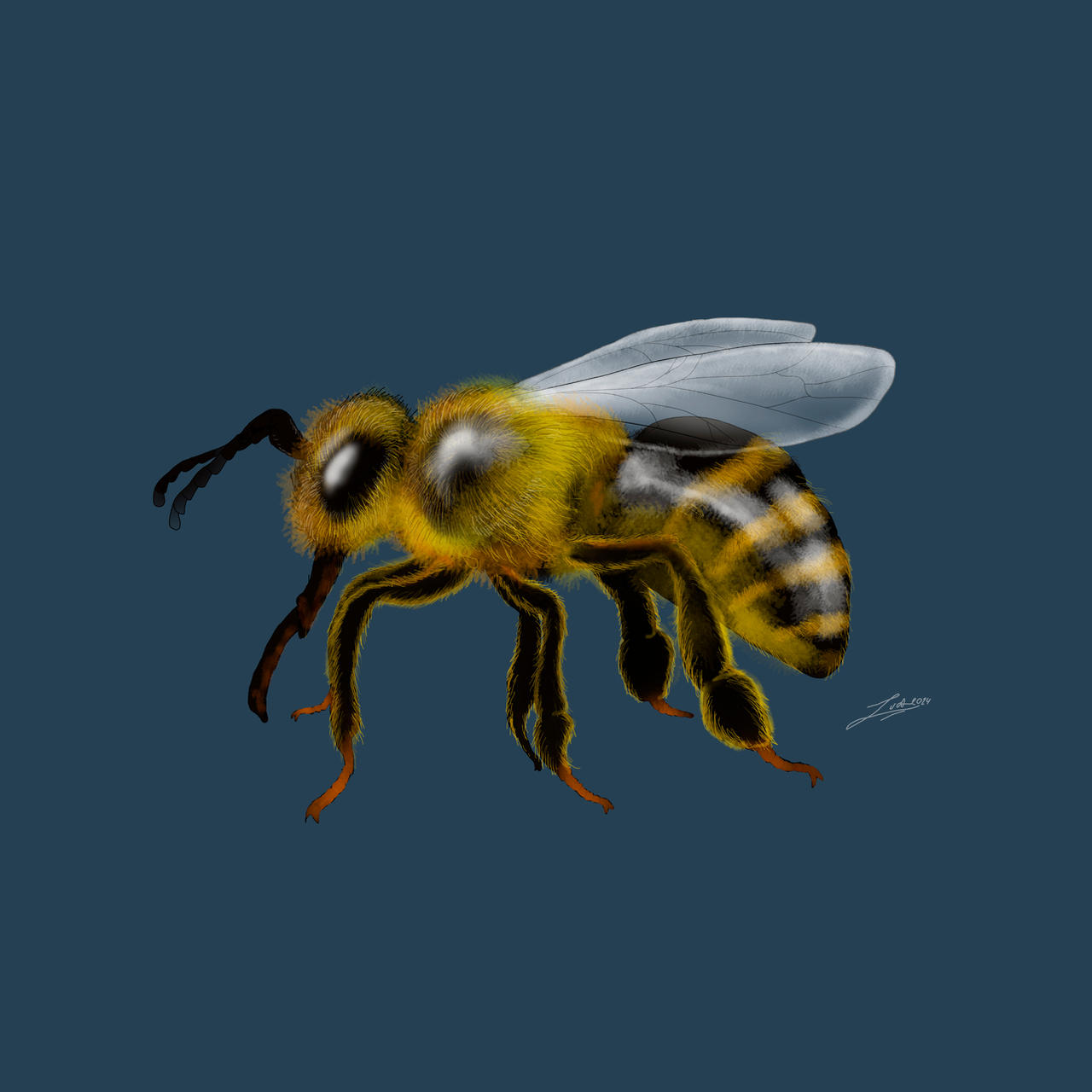 Bee Deviantart Style Bee by BioPictureStudio on DeviantArt
