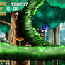 Sonic in Mushroom Hill