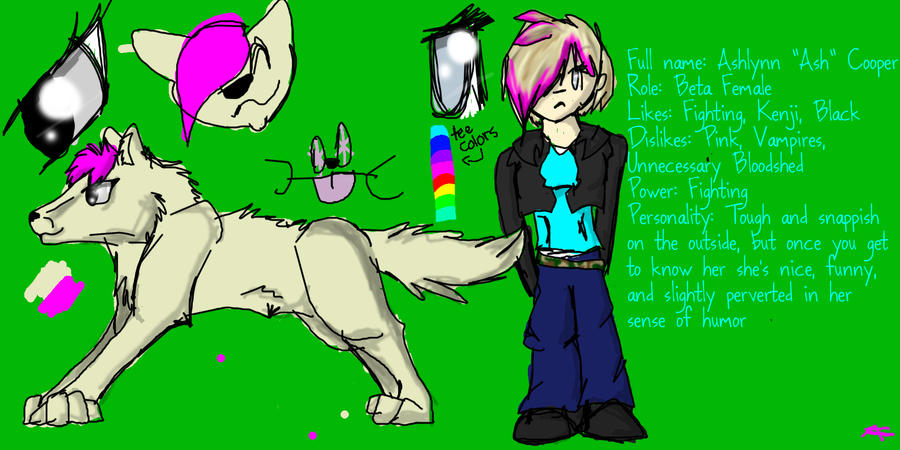 Ash Ref -3-