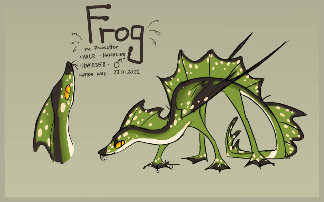 Rain Cutter HTTYDG: Baby Frog the Raincutter by Millowen on DeviantArt