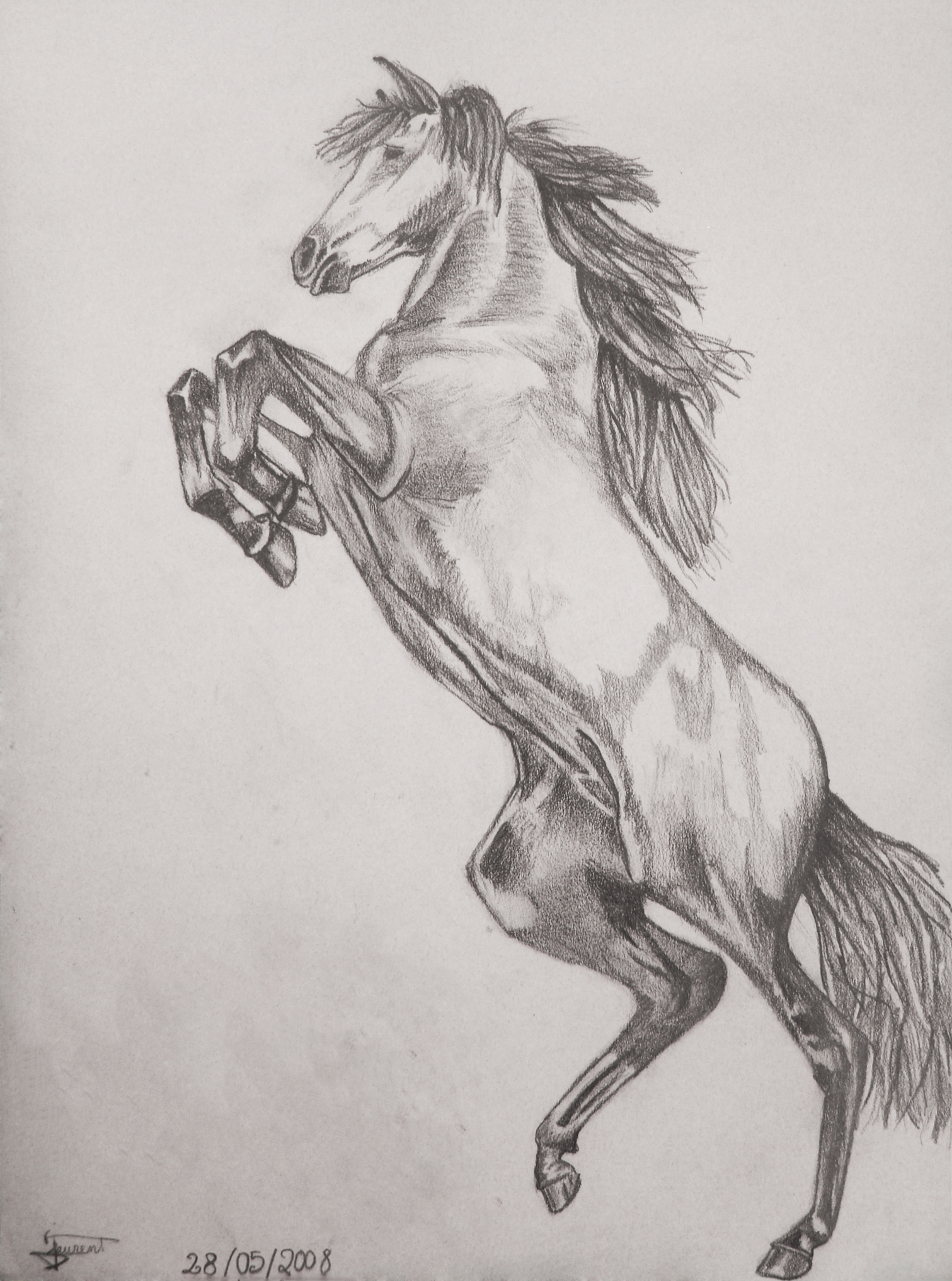 Prancing Horse - Graphite