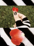 heart by miyavik