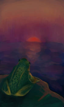 The Frog's Sky