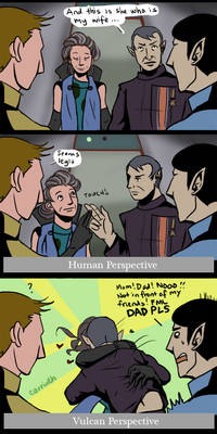 Star Trek: A Matter of Perspective