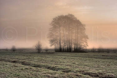 mist in Swietokrzyskie 2