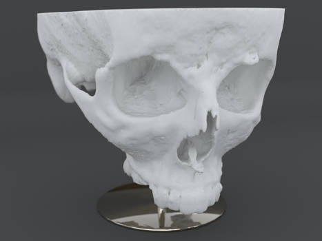 Skull on a stand