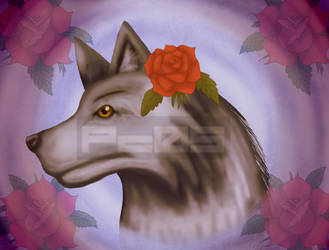 Red Rose And The Wolf