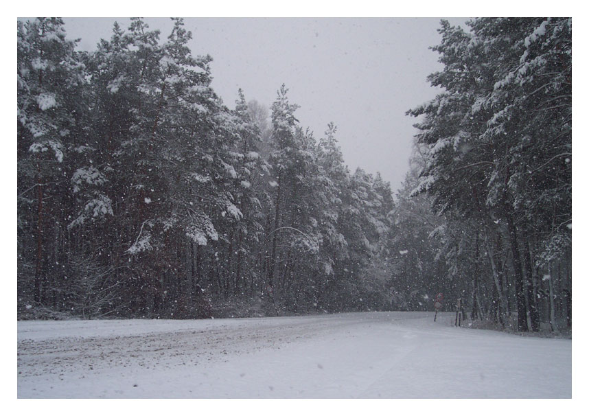 Snowy Road