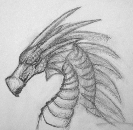 Striped Dragon Sketch