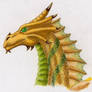 Bronze Dragon