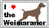 I love Weimaraners Stamp by TheBullTerrier