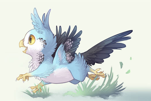 Pudgy Budgie