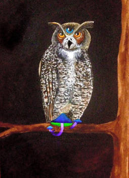 Cosmic Owl