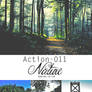 Action 011 - Nature
